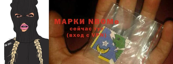 прущий лед Новозыбков