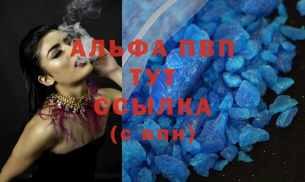прущий лед Новозыбков
