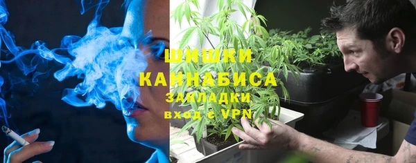прущий лед Новозыбков