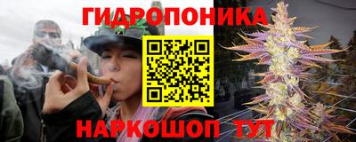 крисы Мариинск