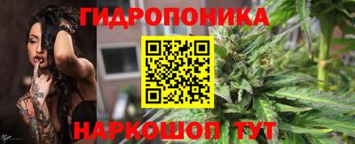 крисы Мариинск