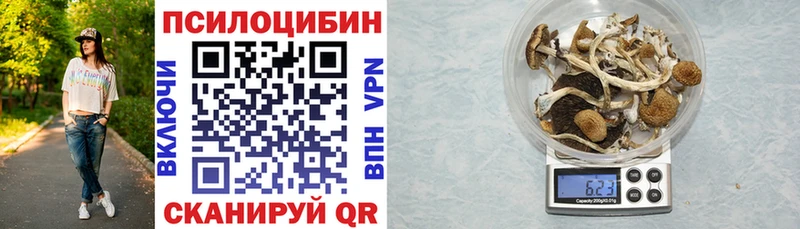 KRAKEN маркетплейс Красноперекопск Галлюциногенные грибы GOLDEN TEACHER закладки