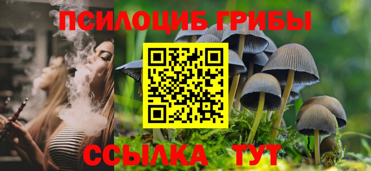 что такое   Вход с VPN  Красноперекопск  Псилоцибиновые грибы Psilocybe 