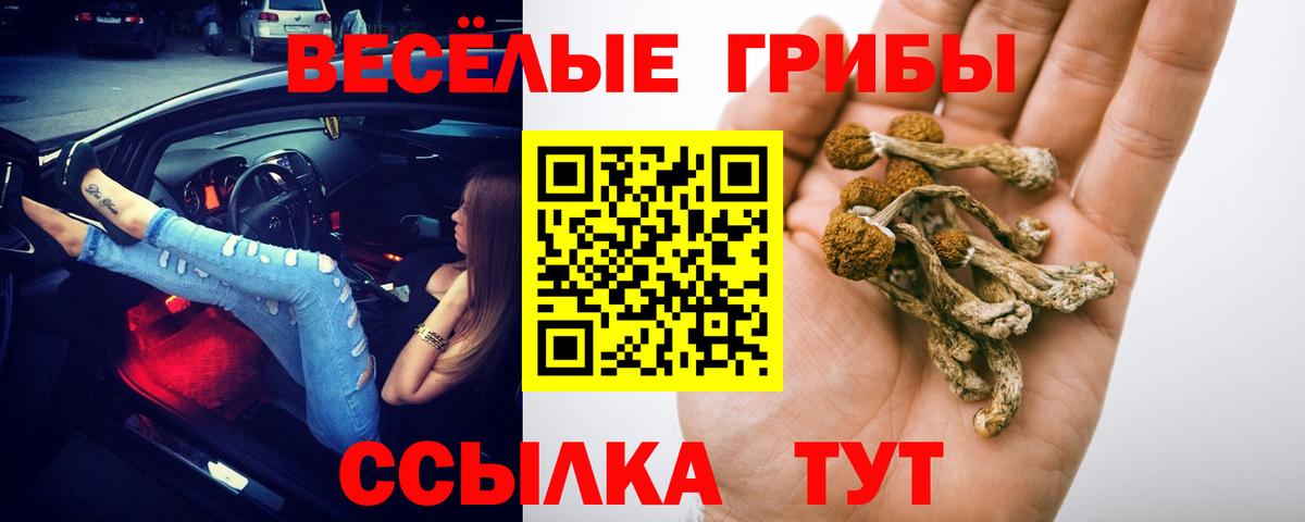 Псилоцибиновые грибы MAGIC MUSHROOMS  Красноперекопск 