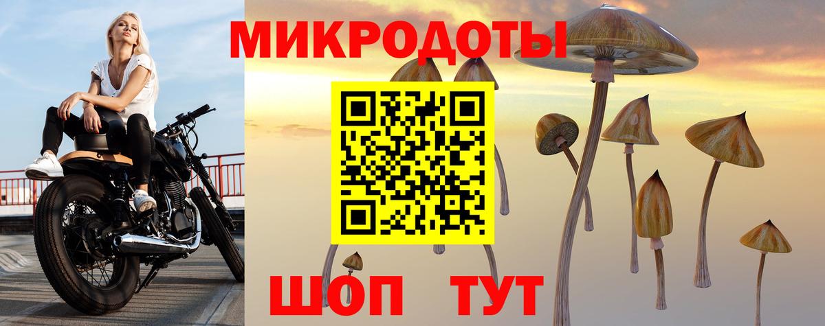 Галлюциногенные грибы мицелий Красноперекопск